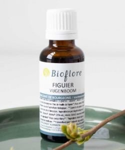 GEMMO UNITAIRE - Figuier BIO, 30 ml